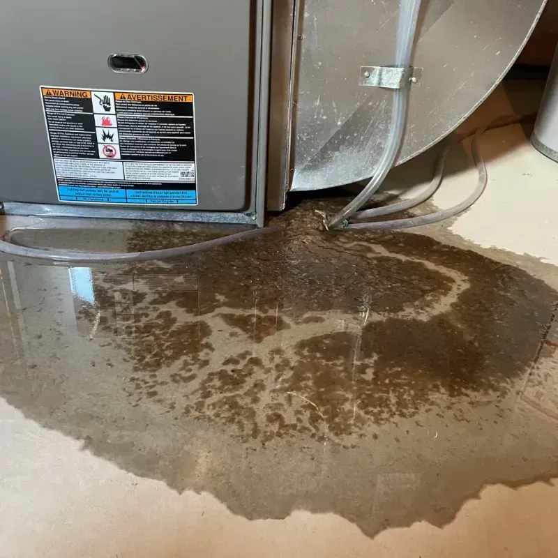 Appliance Leak Cleanup in Oxford, IN